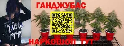метамфетамин Ливны